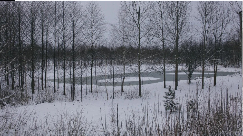 Парк у Ратному, де в травні 2020 року затримали хлопця.