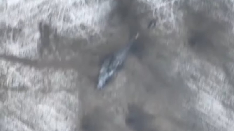 Князівські воїни знищили ворожий вертоліт Мі-24