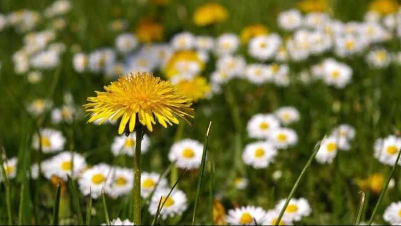 Погодний хаос: на вихідних синоптики прогнозують чергову зміну погоди