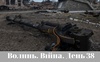 Разом до перемоги! Волинь. Війна. День 38