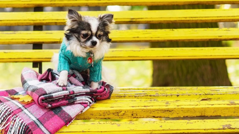 Синоптик детально розповів про погоду у жовтні