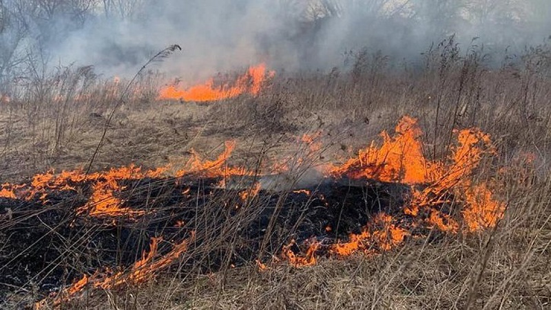 У Луцькому районі горів майже гектар сухої трави і чагарників