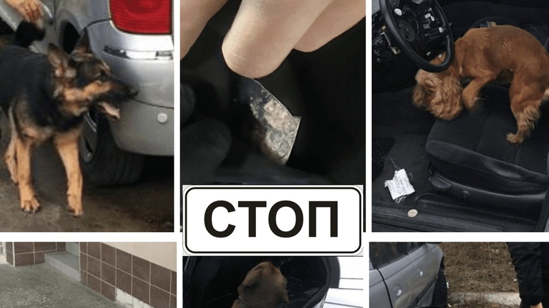 Через «Устилуг» молода дівчина намагалась провезти наркотики