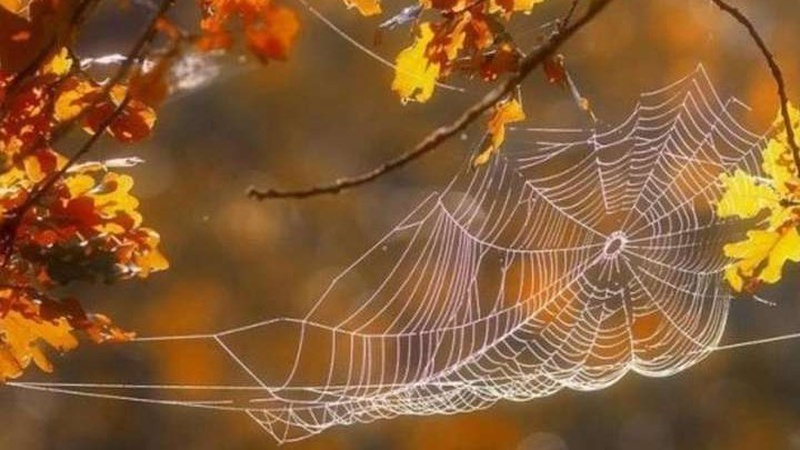 Яка погода очікується завтра, 6 жовтня