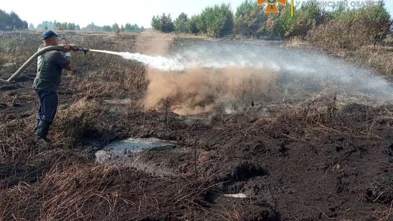 На Волині сталася пожежа на торфовищі. ФОТО