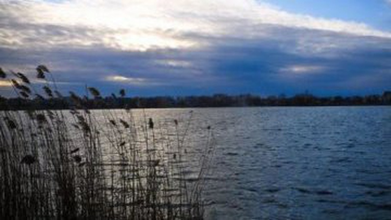 У селі на Волині виявили тіло жінки, яку розшукували родичі