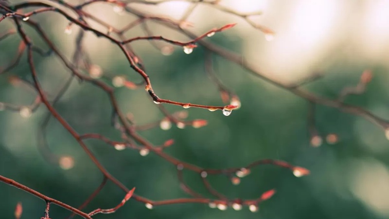 Скільки градусів тепла буде завтра на Волині