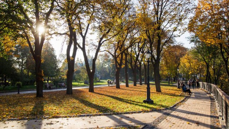 Бабине літо йде в Україну: якою буде погода 6 жовтня