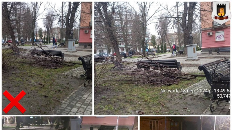 Луцькі муніципали змусили прибрати зрізане гілля на території загального користування