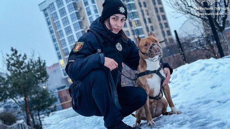 Поліція нагадала правила вигулу та утримання домашніх тварин