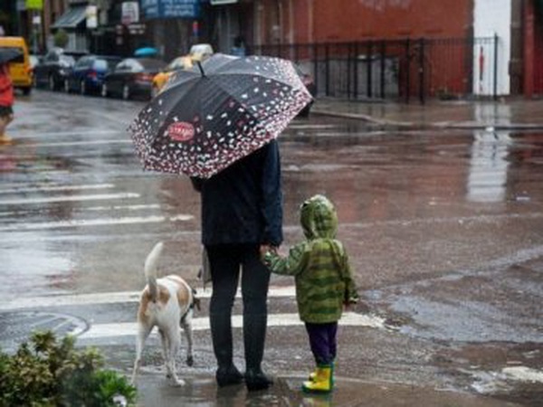 Якою буде погода в Луцьку у четвер, 11 березня