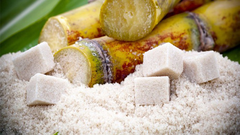 На Гнідавському цукрозаводі вироблятимуть цукор із тростини