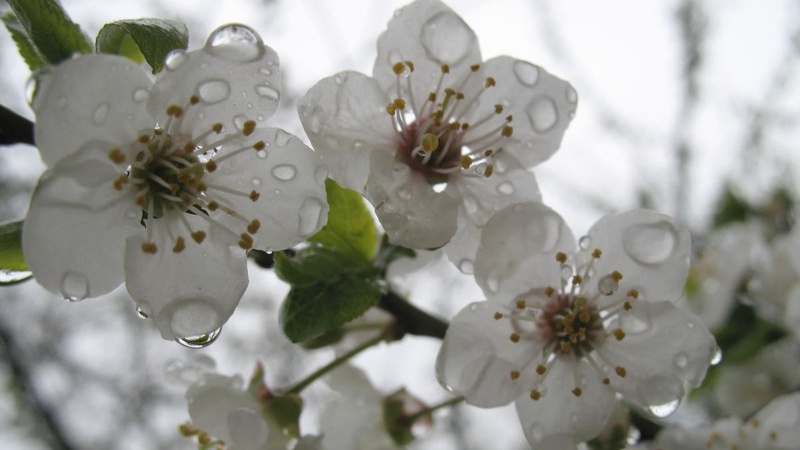 Синоптик попередила про нове похолодання у травні