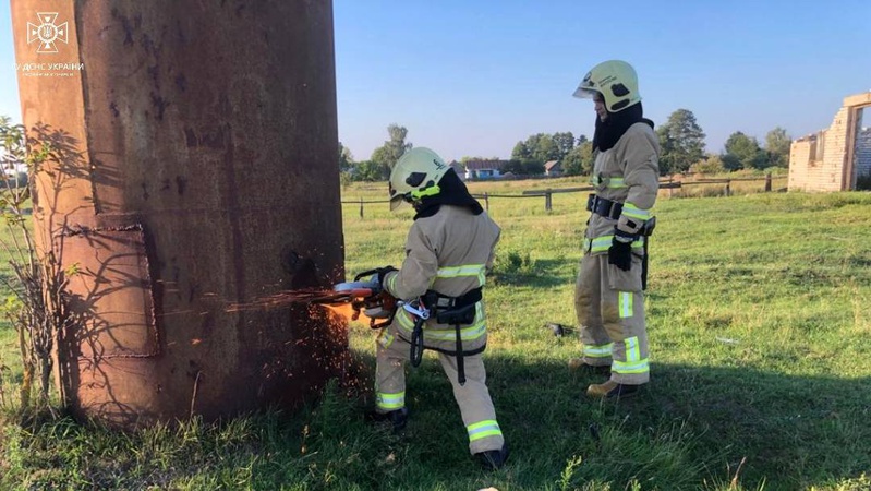 На Волині лелека провалився з гніздом у водонапірну вежу