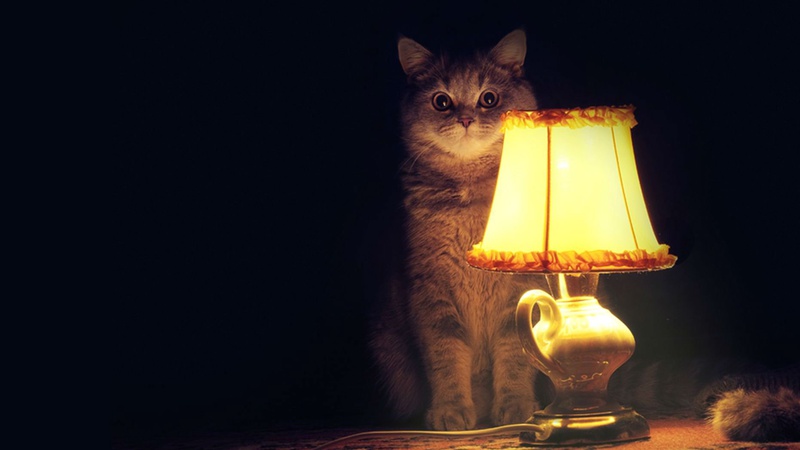 Де завтра, 14 лютого, на Волині не буде світла