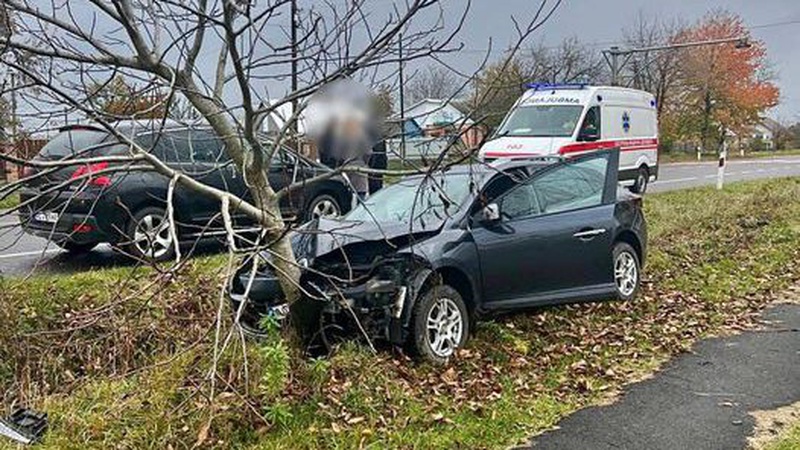 У селищі на Волині легковик злетів з дороги і врізався в дерево