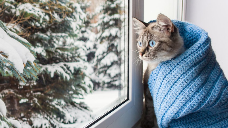 Похолодання на Волині: коли чекати на перший сніг