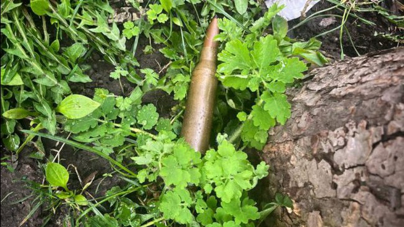 У Луцьку чоловік знайшов на вулиці боєприпас. ФОТО