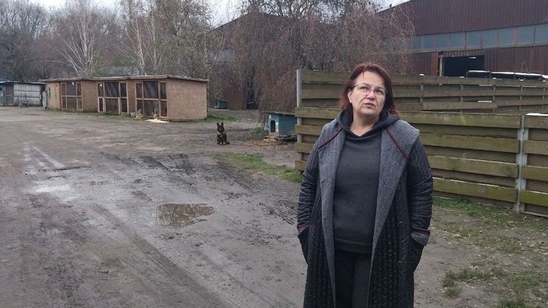 Оштрафували керівницю луцького КП «Ласка», бо сама собі нараховувала премію