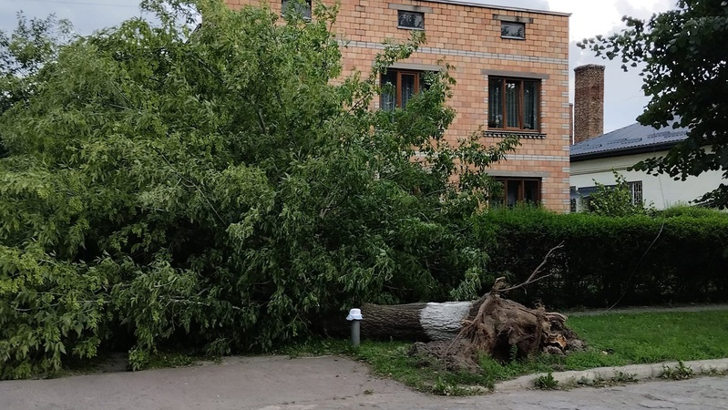 Волинь накрила потужна злива: негода наробила лиха