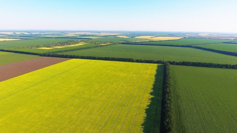 Розповіли про вартість землі на Волині після відкриття ринку
