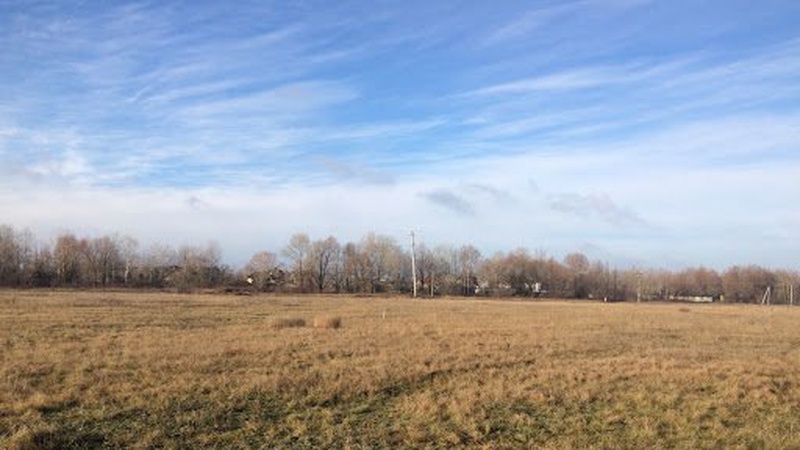 У Камінь-Каширській громаді сільгоспвиробник взяв в оренду землю, а та заросла деревами