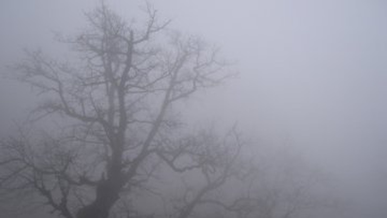 В Україні оголосили I рівень небезпеки