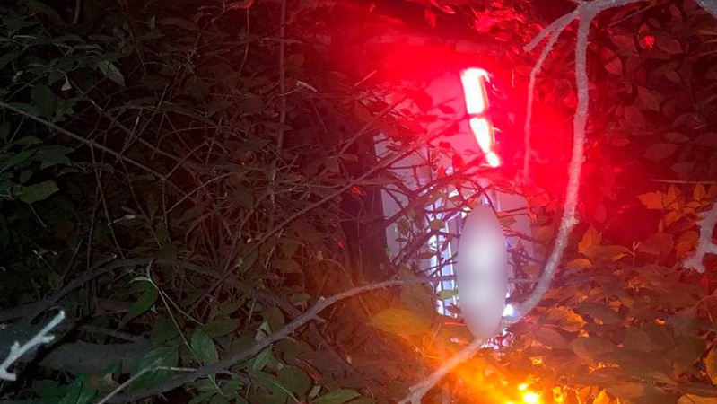 Показали відео, як в Луцьку авто на великій швидкості злетіло у кювет