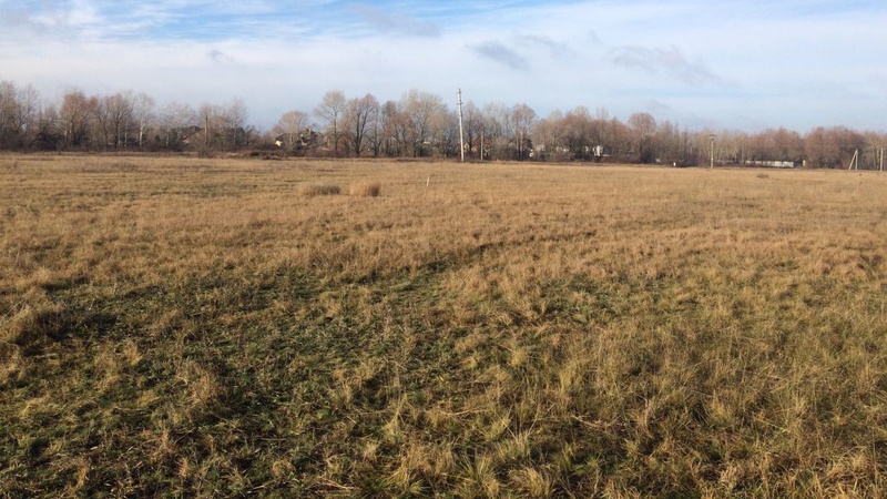 На Волині в підприємства забрали 82 гектари землі, яку воно незаконно прихопило