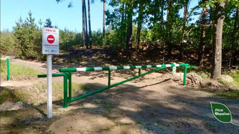 Лісівники Волині пояснили, чому обмежують автомобільний доступ до лісових доріг