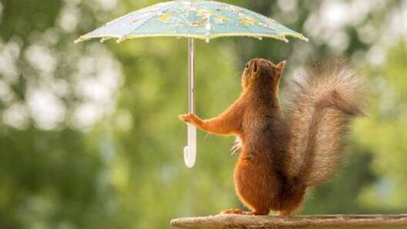 Чи дощитиме завтра, 3 листопада