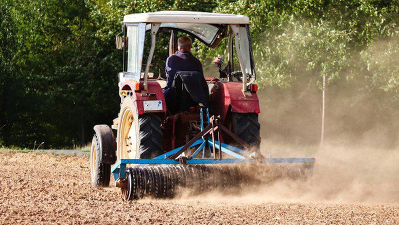 Середній показник земельних угод: на Волині продали 24 гектари ріллі