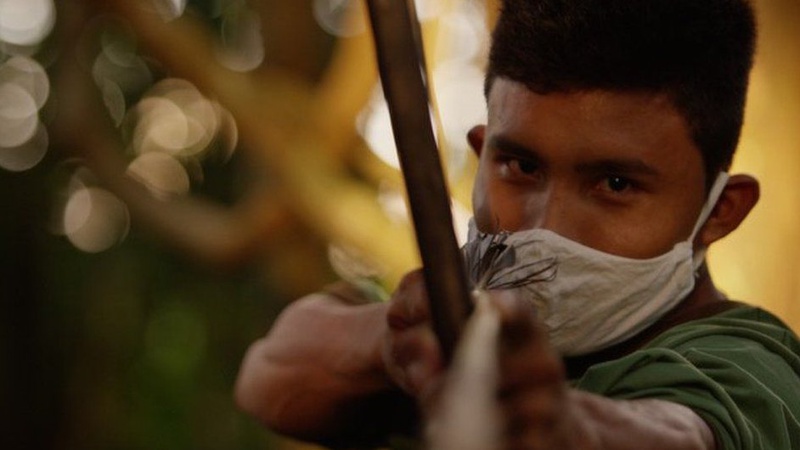 У фейсбуці продають лісові ділянки, розміром з 1000 футбольних полів