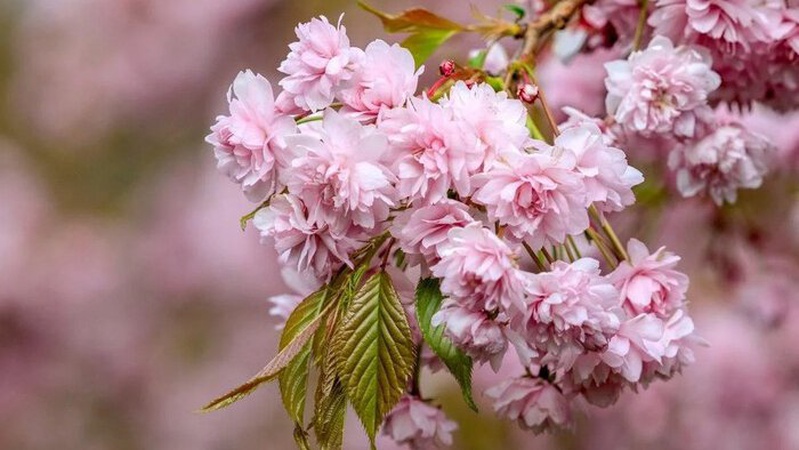 Місцями будуть дощі та грози: прогноз погоди на 14 травня