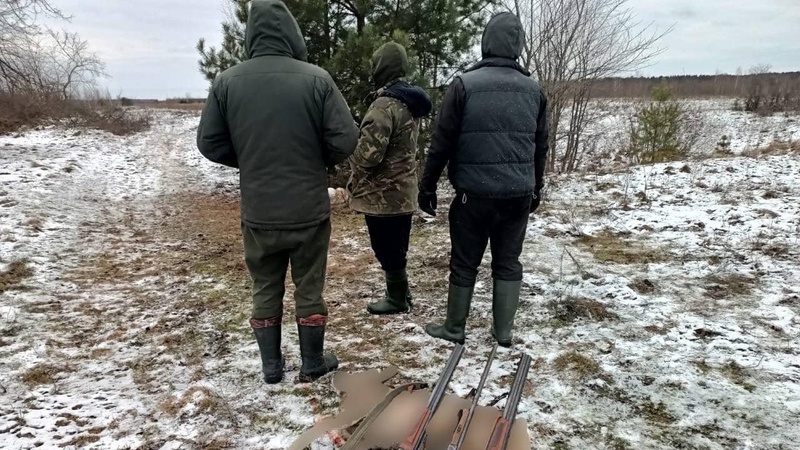 На Волині браконьєри вбили самця козулі