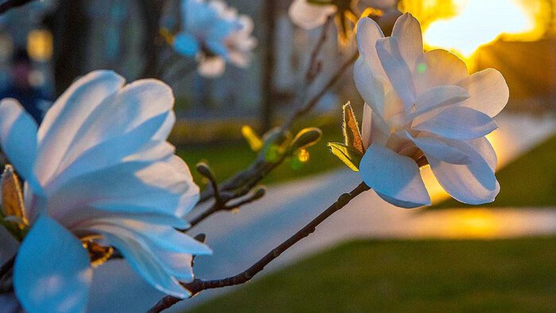 Короткочасні дощі в низці областей: прогноз погоди на 12 квітня