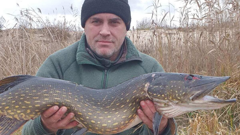 На Волині рибалка впіймав гігантську щуку