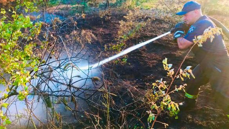 На Волині ліквідували 4 пожежі, триває гасіння пожежі на торфовищі