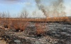На Турійщині невідомі підпалили суху траву