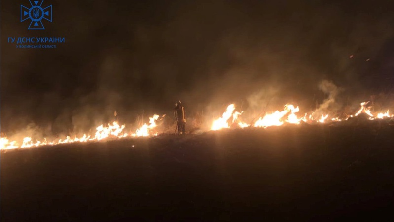 Поблизу Луцька діти підпалили суху траву