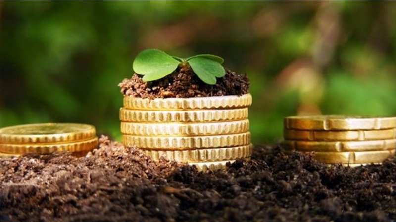 Мешканцям Шацька наголошують про граничний термін сплати земельного податку