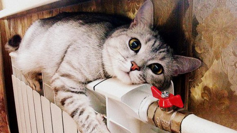 90% луцьких будинків отримали тепло