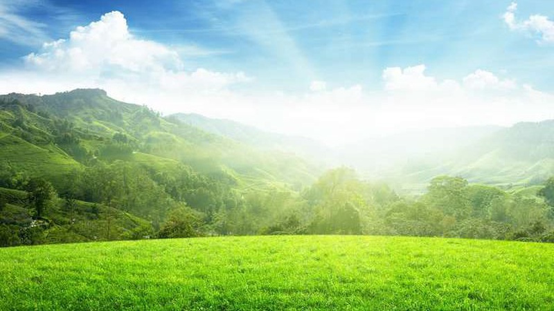 Яка погода очікується завтра, 12 серпня