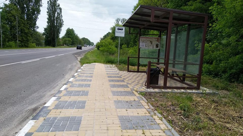 Отрутохімікатами знищили чорнобривці, які неподалік Луцька висадив Василь Рижук