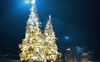 Розповіли, якою буде цьогоріч новорічна ялинка у Луцьку