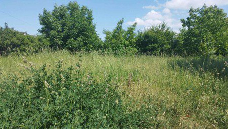 Землю біля Луцька віддають під багатоквартирну забудову