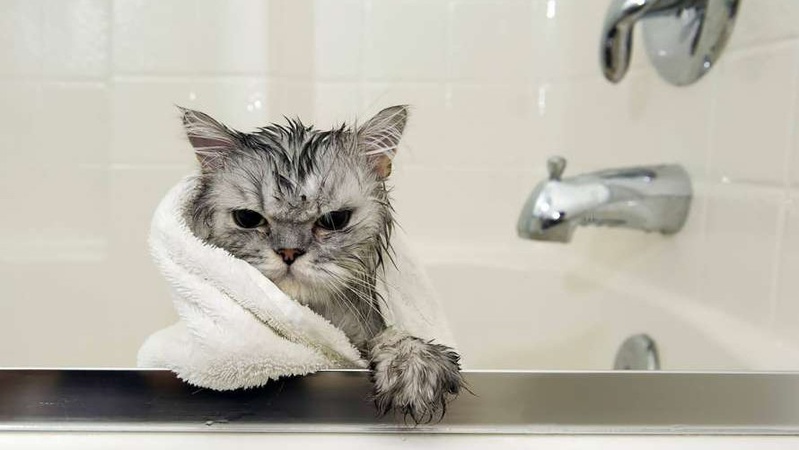 У Луцьку на три тижні відключать гарячу воду. АДРЕСИ