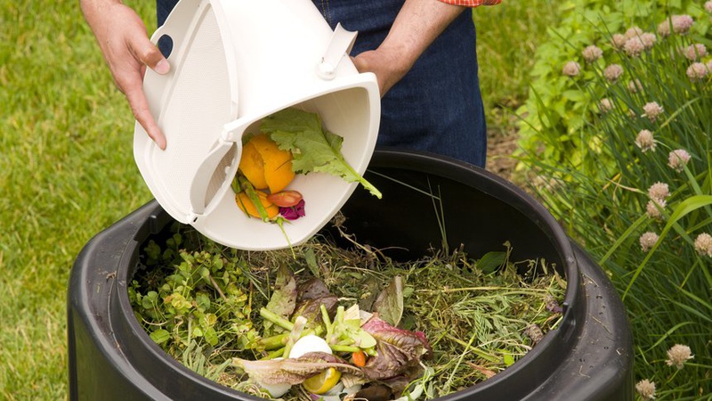 Луцькрада планує виділити 2 мільйони  на проєкт щодо поводження з органічним сміттям