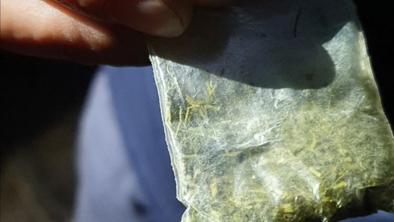 У Луцьку зловили молодиків із канабісом: серед них – неповнолітній