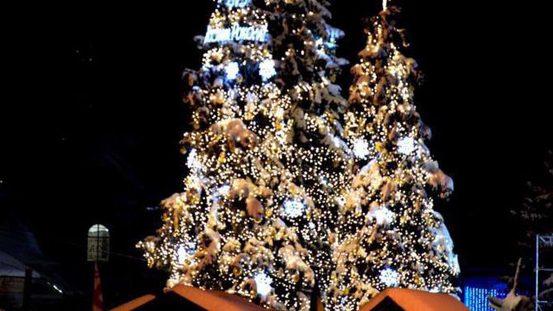 Повідомили, якою буде головна ялинка Луцька